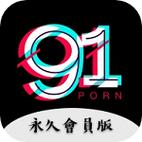 91看电视hd电脑版