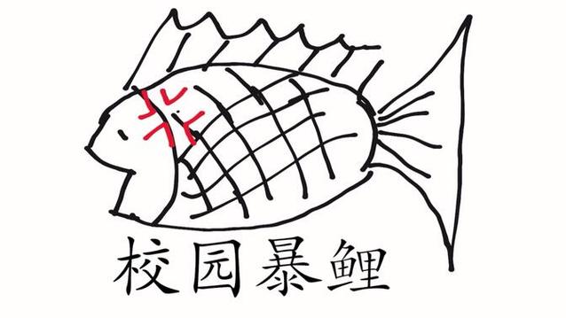 校鲤