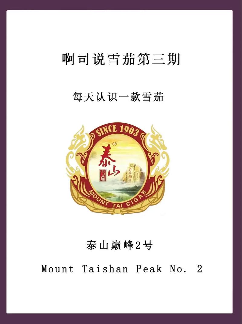 泰山小说