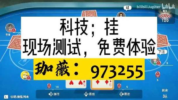 龙虎万能辅助器