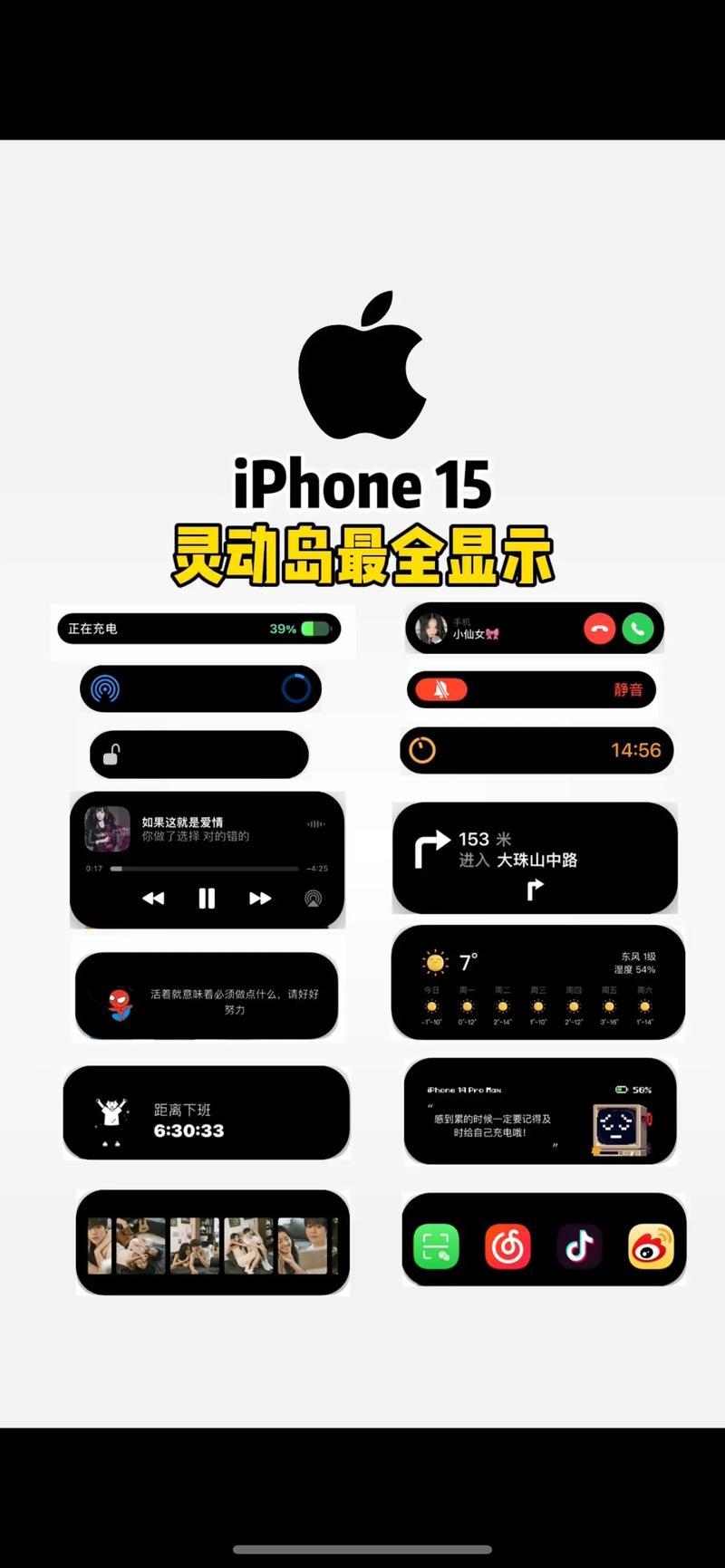 灵动坞小组件