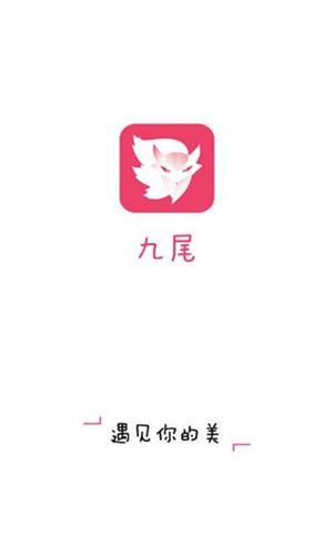 pr九天狐狸正能量 视频