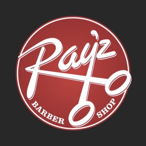 ray下载