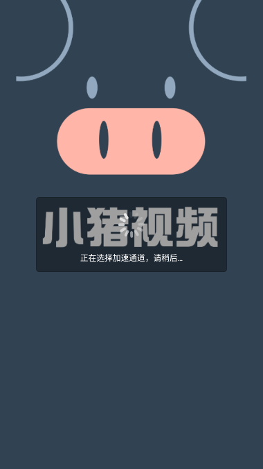 小猪金鸡视频下载