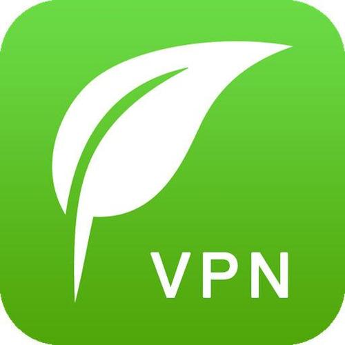绿叶加速器1.0