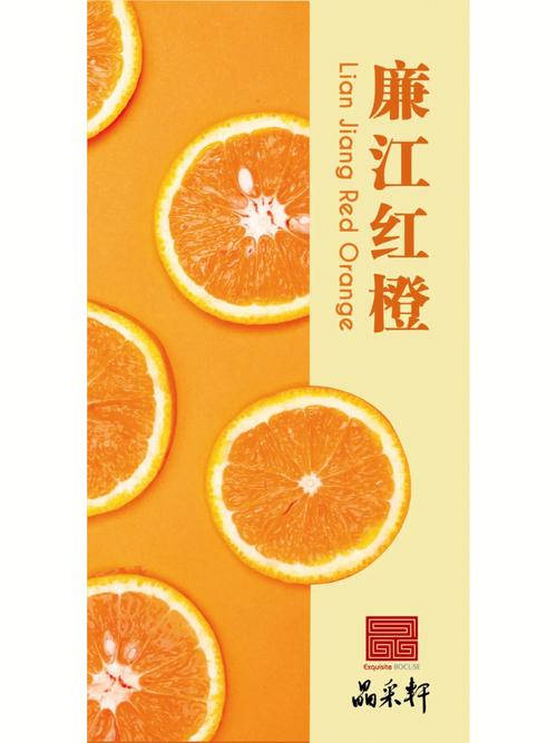 红橙小说