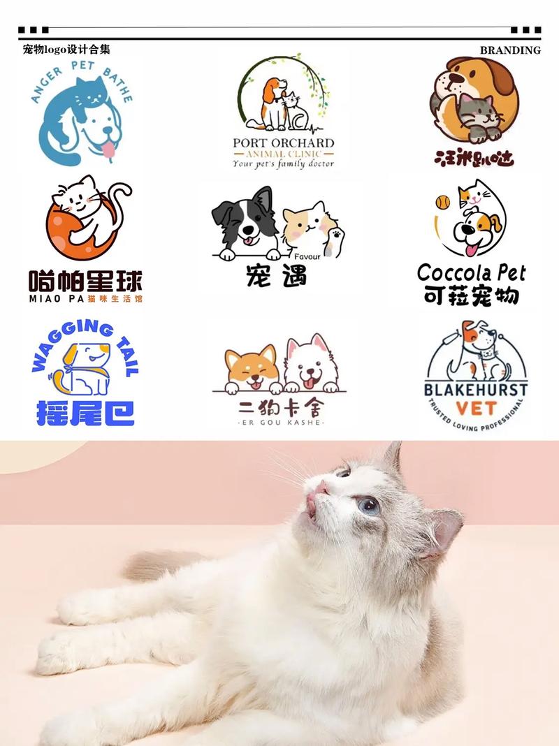 萌宠购安卓下载