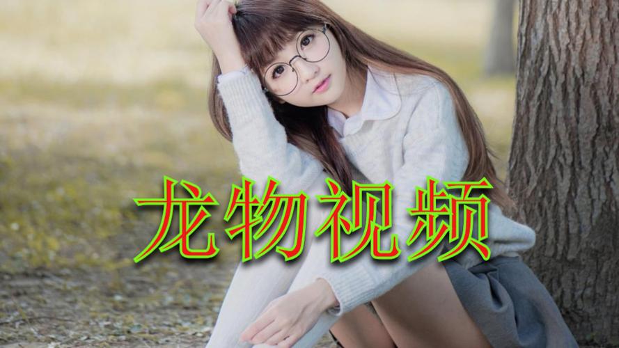 yw1132龙物