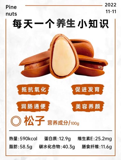 松子阅读手机版