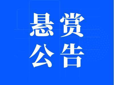 疯狂悬赏下载