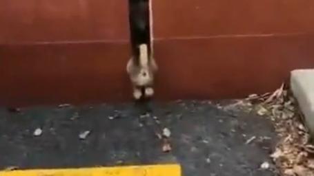 卡在墙缝里的少年