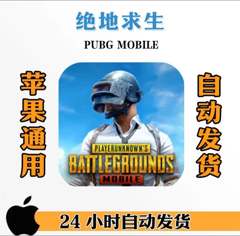 PUBG火焰直装