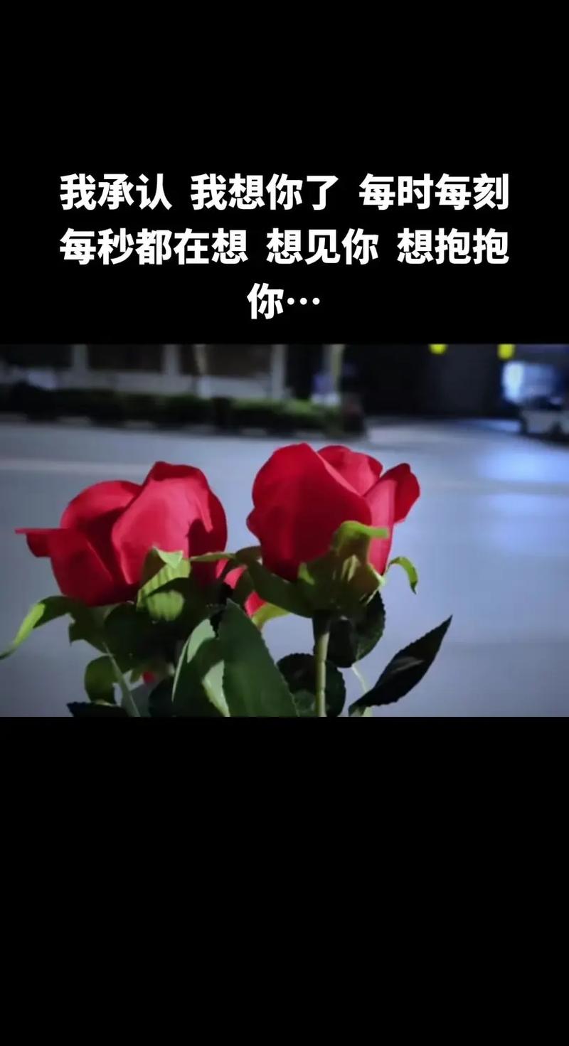 抱抱直播手机版