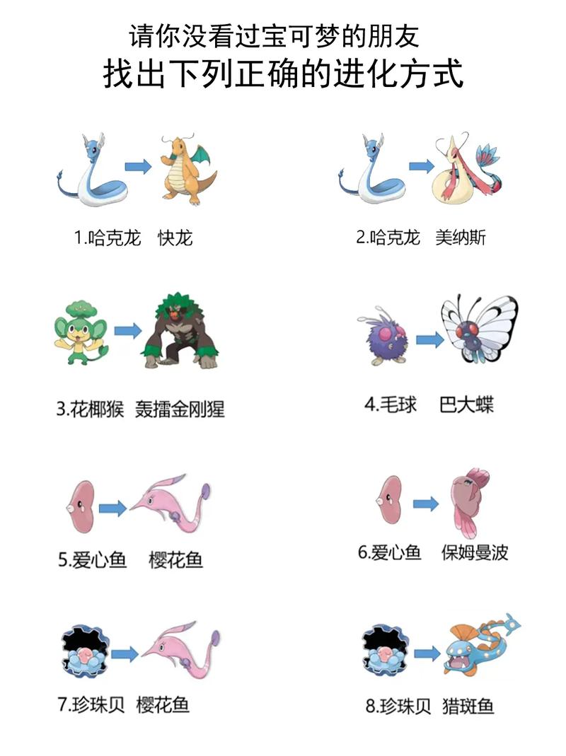 口袋妖怪内置功能菜单