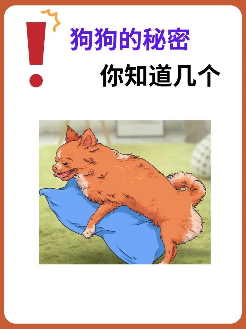 秘密教学112话帮你刮出来