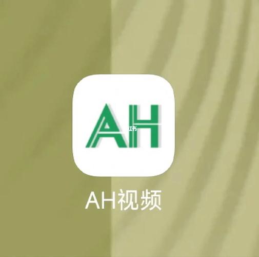 AH视频编辑