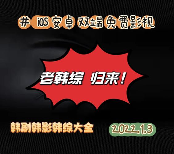 老韩综影视