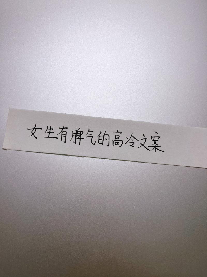 屈服堕落的高冷女昵称免费