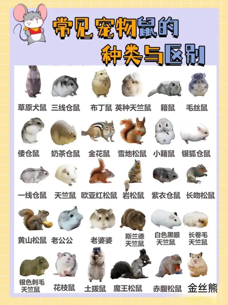 本色世界养鼠软件