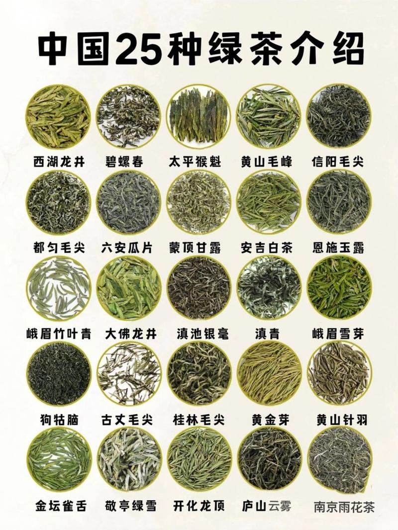 绿茶免费观看完整版