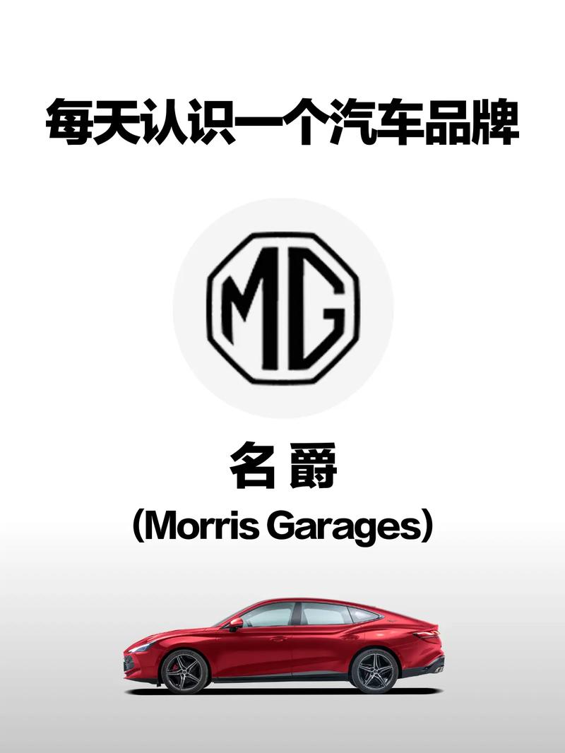 51私人电影入口mg