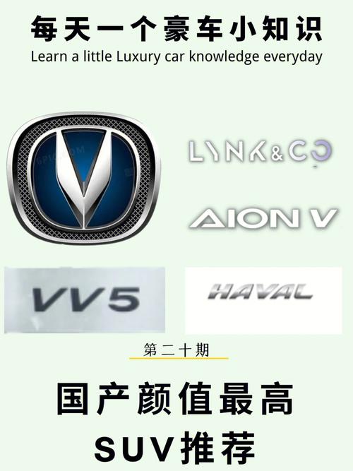 国产最好的a级suv88888