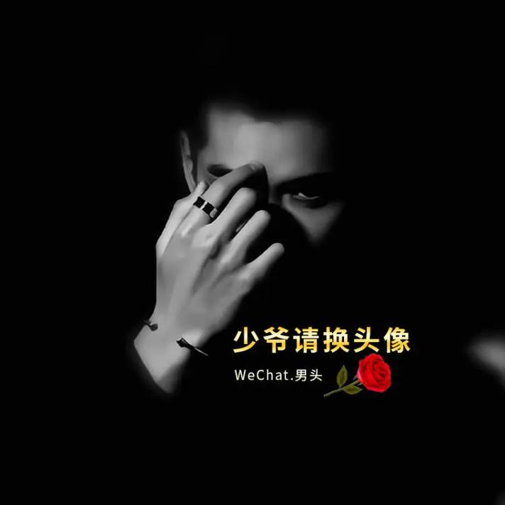 18款黄男男软件