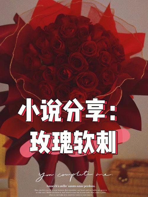 玫瑰小说阅读网手机版2022