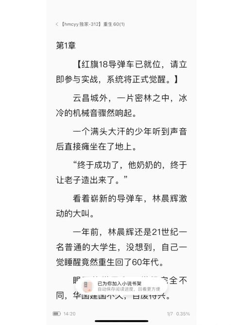 重生之妈妈们是子控