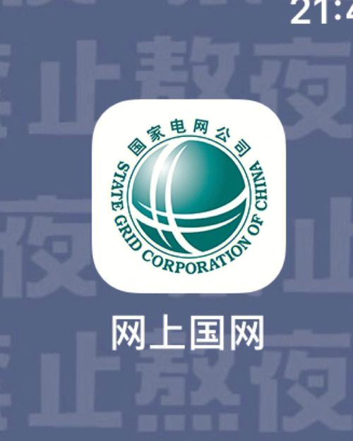 网上国网
