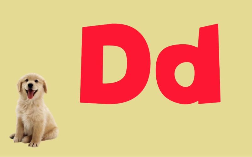 dd2短视频