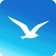 海鸥加速软件下载