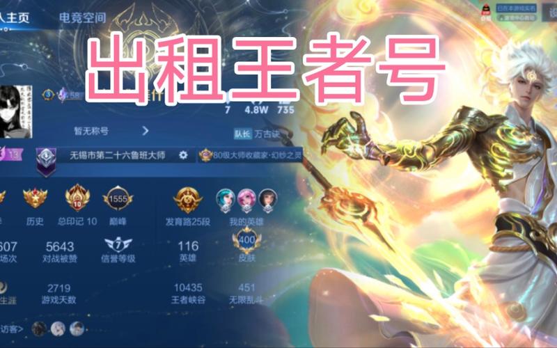 王者荣耀土豪号(V10大佬)