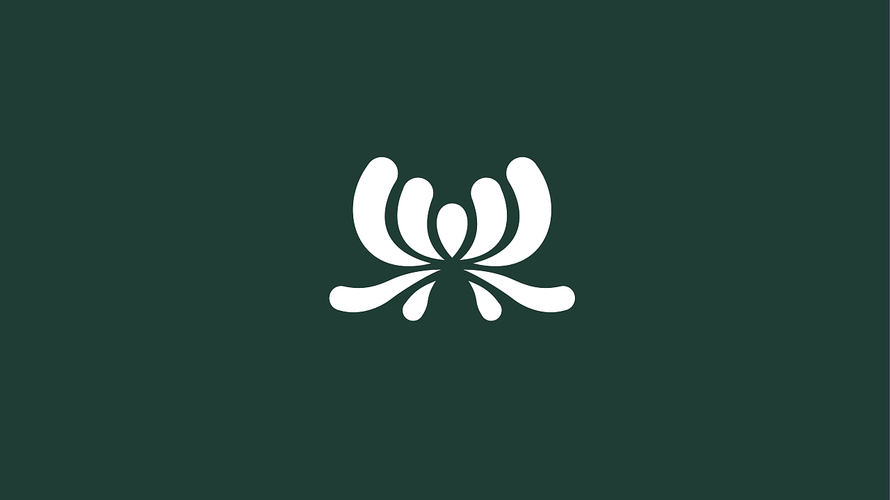 菊花app怎么下载