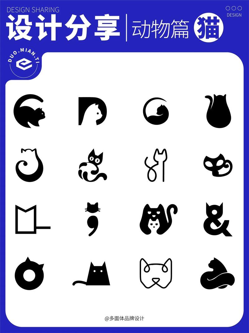猫探