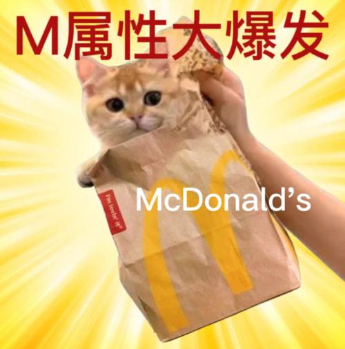 macgn萌站