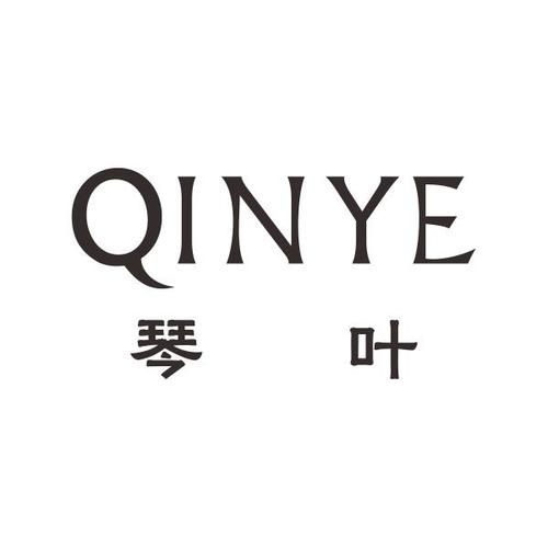琴叶小说