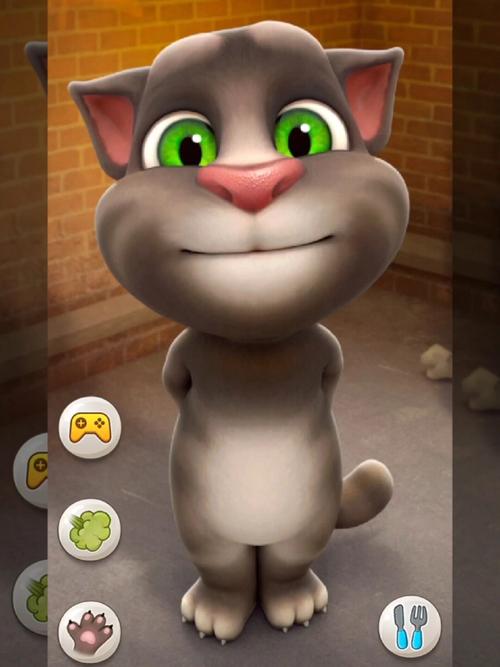 会说话的汤姆猫1.1老版