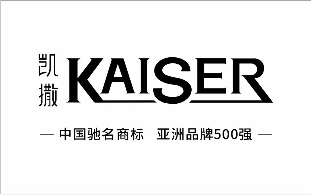 凯撒直装3.3下载