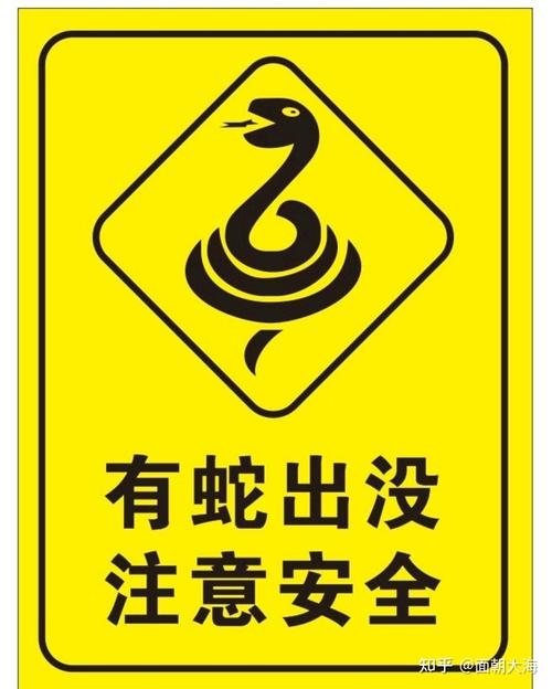 毒蛇外挂软件