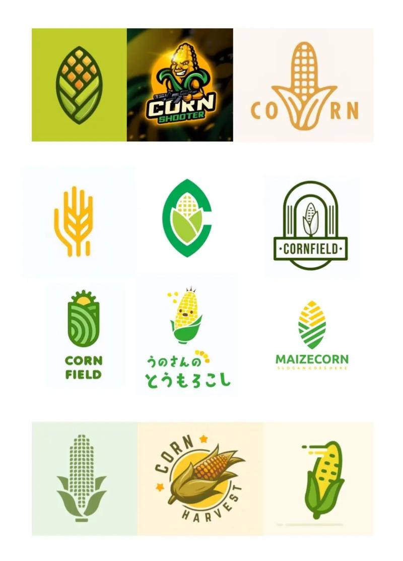 玉米传媒