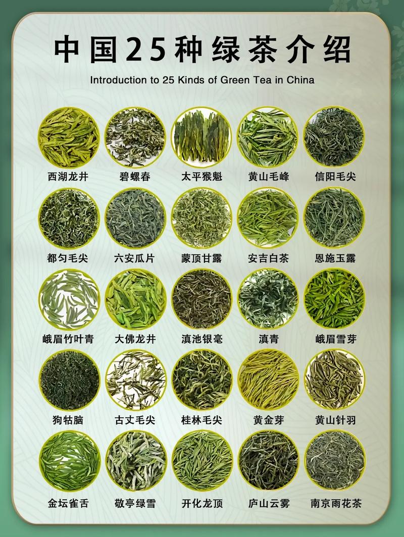 567 t∨绿茶官网