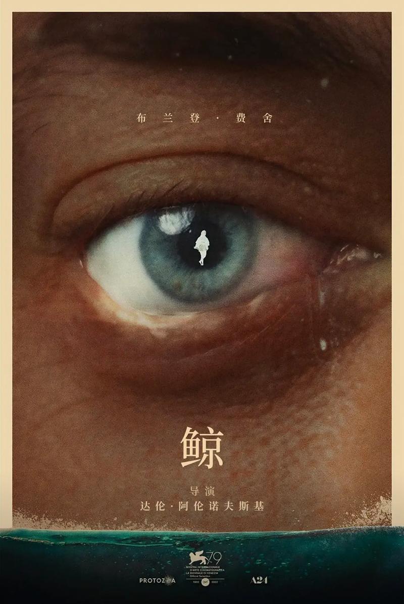 鲸影视官网下载安装