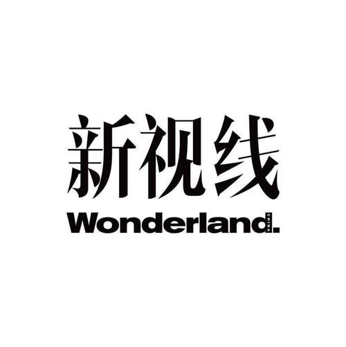 新视觉
