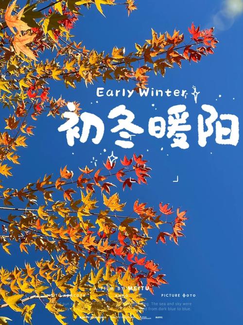 初冬暖阳正版下载安装