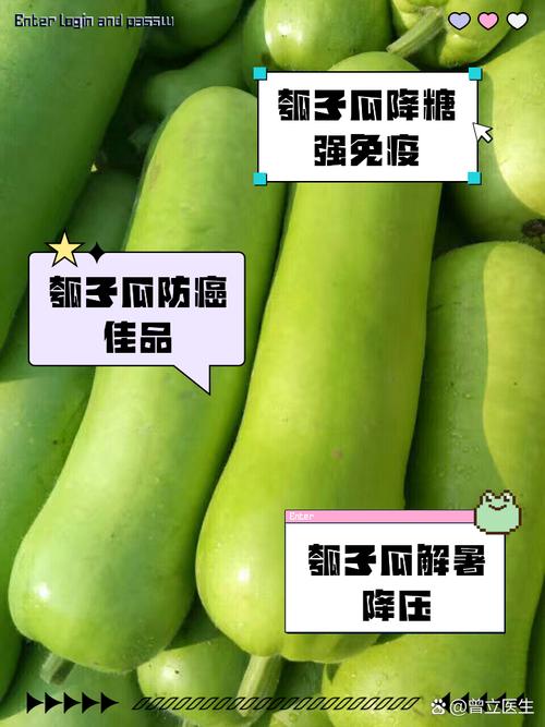 瓜多多最新版