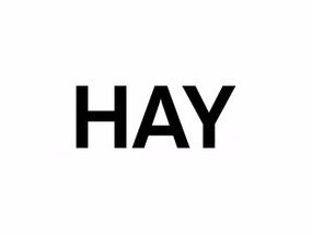 hay下载