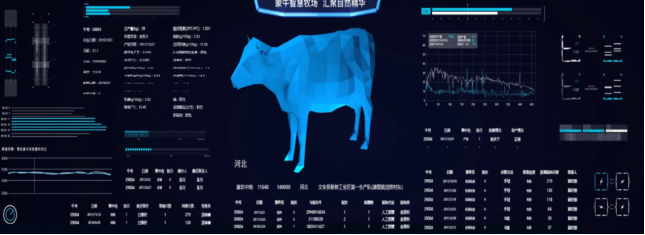 澳康牧业网上养牛平台