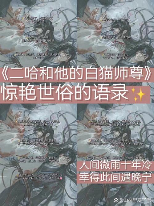 白猫小说免费版