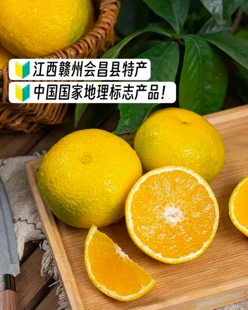 桔柚小视频